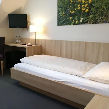 Loetschberg Hotel Interlaken