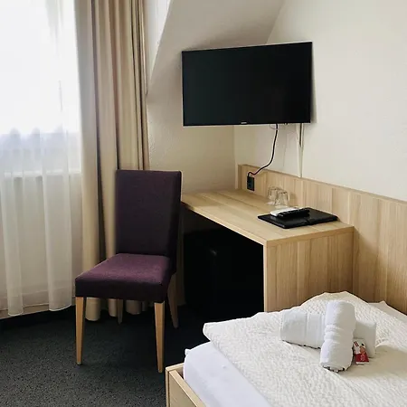 Hotel Loetschberg 3*