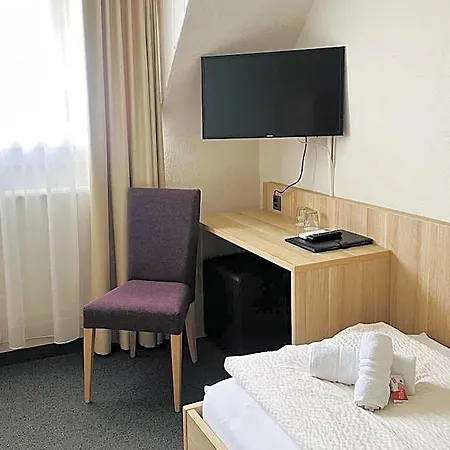 Loetschberg Hotel 3*