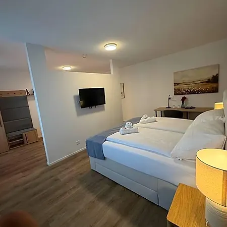 Hotel Loetschberg 3*