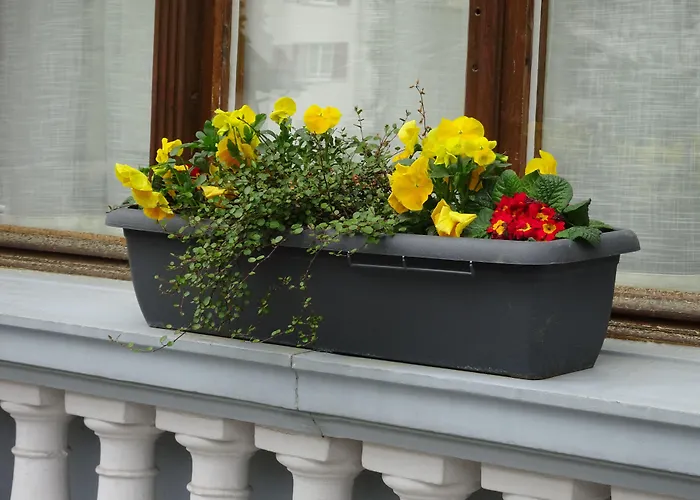 فندق لوتشبيرغ