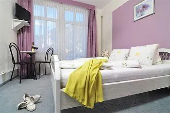 فندق لوتشبيرغ 3*