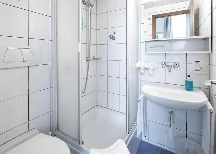 Hotel Loetschberg 3*