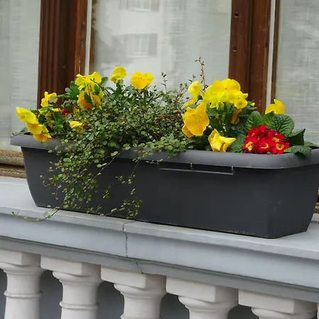 酒店 隆兹博酒店