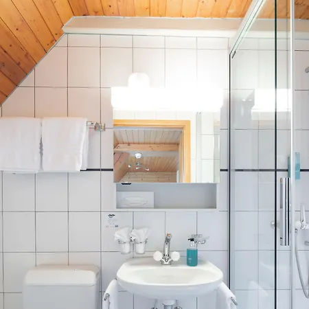 隆兹博酒店 因特拉肯