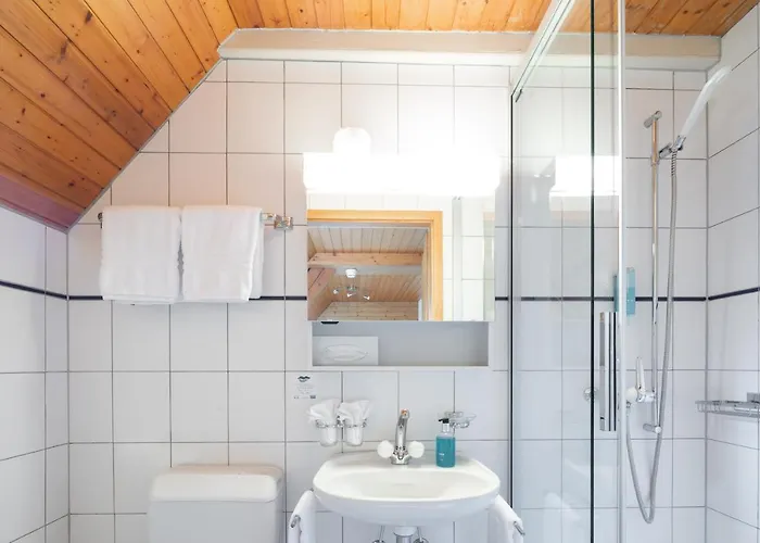 Loetschberg Hotel 3*